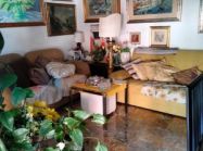 thumb_629_img20260807wa0013.jpg